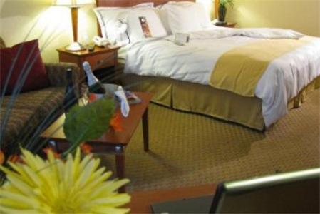 Charleston Airport Hotel North Charleston Habitación foto