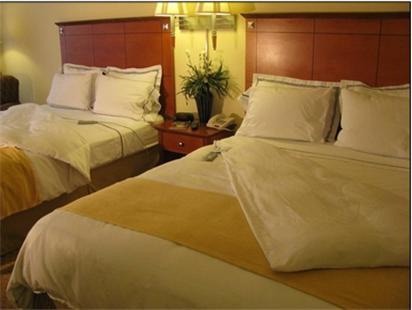 Charleston Airport Hotel North Charleston Habitación foto